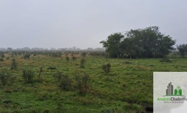 Campo en venta de 90ha ubicado en Estación Yeruá