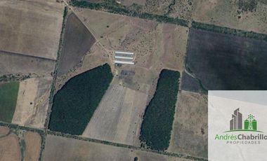 Campo en venta de 90ha ubicado en Estación Yeruá