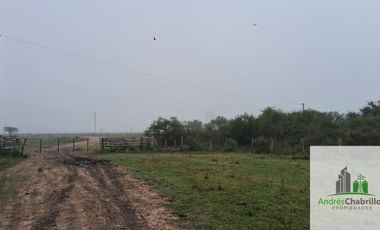 Campo en venta de 90ha ubicado en Estación Yeruá