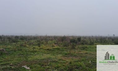 Campo en venta de 90ha ubicado en Estación Yeruá