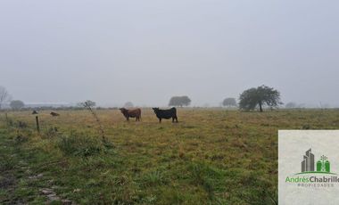 Campo en venta de 90ha ubicado en Estación Yeruá