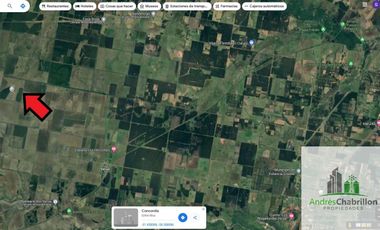 Campo en venta de 90ha ubicado en Estación Yeruá