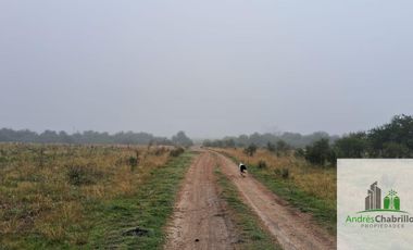 Campo en venta de 90ha ubicado en Estación Yeruá