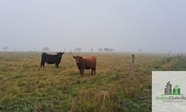 Campo en venta de 90ha ubicado en Estación Yeruá