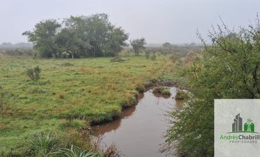 Campo en venta de 90ha ubicado en Estación Yeruá