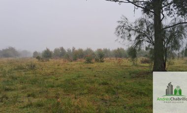 Campo en venta de 90ha ubicado en Estación Yeruá