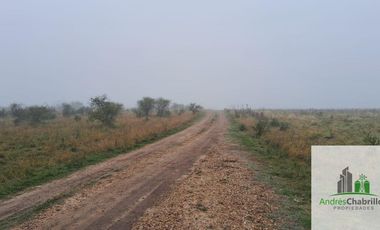 Campo en venta de 90ha ubicado en Estación Yeruá