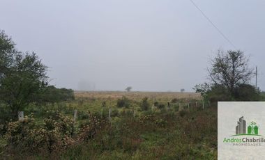Campo en venta de 90ha ubicado en Estación Yeruá