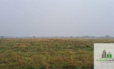 Campo en venta de 90ha ubicado en Estación Yeruá