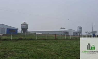Campo en venta de 90ha ubicado en Estación Yeruá