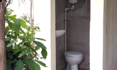 Casa con amplio terreno y piscina en zona Aeroclub
