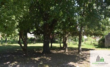Casa de 2 dormitorios en venta con amplio terreno arbolado – Barrio Golf