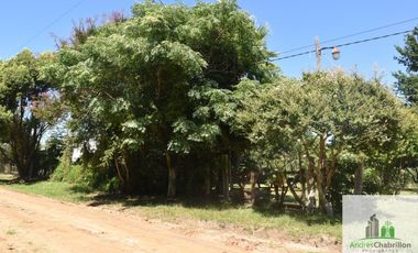 Casa de 2 dormitorios en venta con amplio terreno arbolado – Barrio Golf