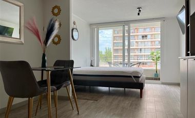 Departamento Amoblado en Arriendo en SECTOR BARRIO UNIVERSITARIO REPUBLICA