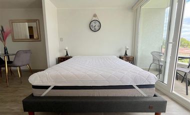 Departamento Amoblado en Arriendo en SECTOR BARRIO UNIVERSITARIO REPUBLICA