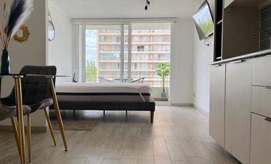 Departamento Amoblado en Arriendo en SECTOR BARRIO UNIVERSITARIO REPUBLICA