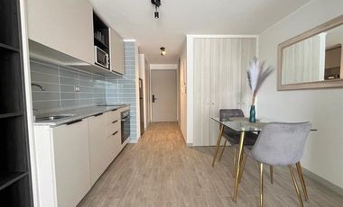 Departamento Amoblado en Arriendo en SECTOR BARRIO UNIVERSITARIO REPUBLICA