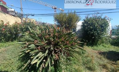Casa en Venta en Terreno con 3 casas en Cerro Merced, Valparaíso