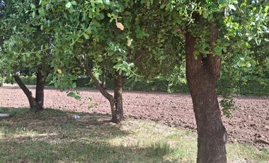 Casa en Venta en Terreno con cabaña en Huilquilemu