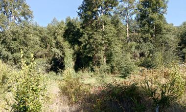 TERRENO EN ALTURA CON VISTA AL LAGO CALAFQUEN, LICAN RAY