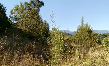 TERRENO EN ALTURA CON VISTA AL LAGO CALAFQUEN, LICAN RAY