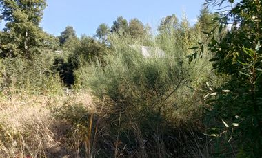 TERRENO EN ALTURA CON VISTA AL LAGO CALAFQUEN, LICAN RAY
