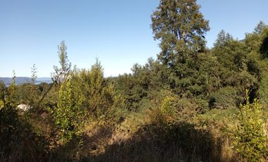 TERRENO EN ALTURA CON VISTA AL LAGO CALAFQUEN, LICAN RAY