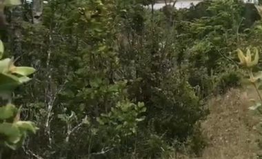 Parcela en Venta en El Peñol - Maullín