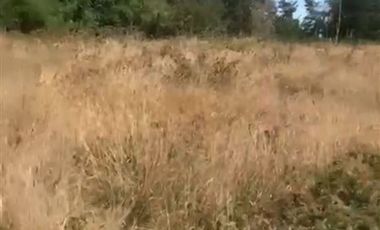 Parcela en Venta en El Peñol - Maullín