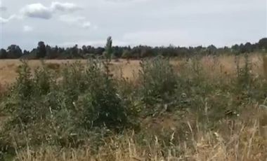 Parcela en Venta en El Peñol - Maullín