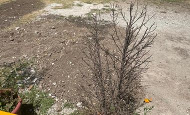 SE RENTA CASA EN SAN LORENZO TEPALTITLAN