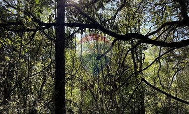 Parcela en Ruta Freire a Villarrica.