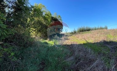 Parcela en Ruta Freire a Villarrica.