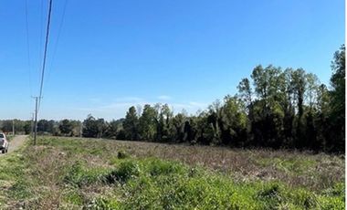 Parcela en Ruta Freire a Villarrica.