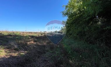 Parcela en Ruta Freire a Villarrica.