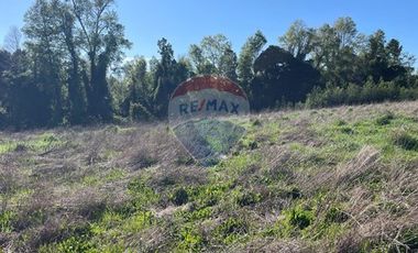 Parcela en Ruta Freire a Villarrica.