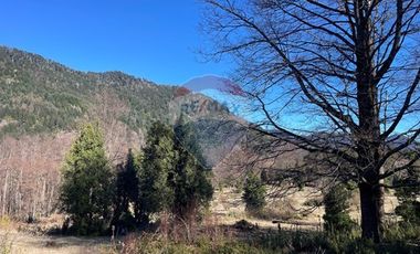 Parcelas 5000 mt2 en Curarrehue