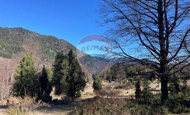 Parcelas 5000 mt2 en Curarrehue