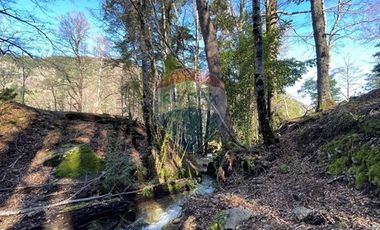 Parcelas 5000 mt2 en Curarrehue