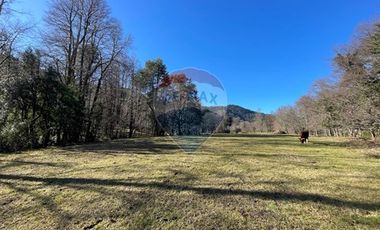 Parcelas 5000 mt2 en Curarrehue