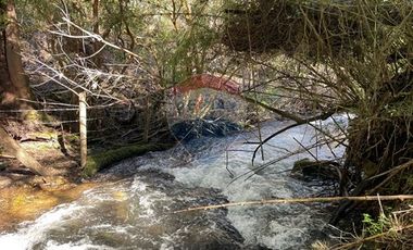 Parcelas 5000 mt2 en Curarrehue