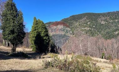 Parcelas 5000 mt2 en Curarrehue