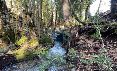 Parcelas 5000 mt2 en Curarrehue