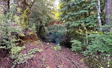 Parcelas 5000 mt2 en Curarrehue