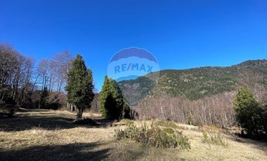 Parcelas 5000 mt2 en Curarrehue