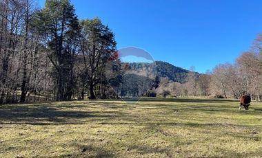 Parcelas 5000 mt2 en Curarrehue