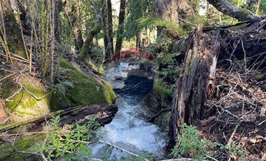 Parcelas 5000 mt2 en Curarrehue