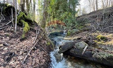 Parcelas 5000 mt2 en Curarrehue