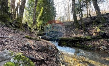 Parcelas 5000 mt2 en Curarrehue