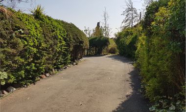 El mejor precio de Lo Cañas